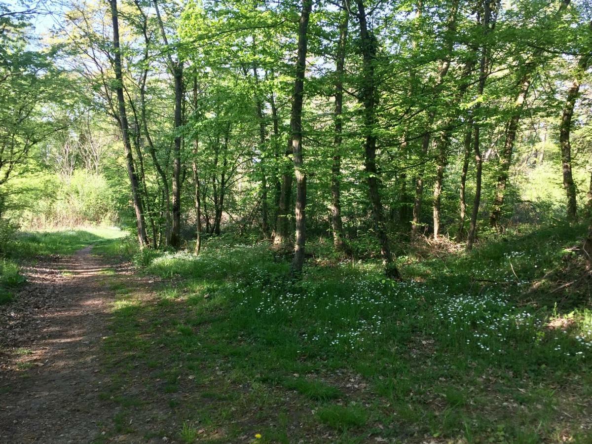 Camping Du Canal Kembs Exteriör bild